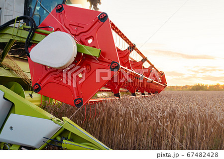 Combine harvester harvests ripe wheat. Ripe ears of gold field on the sunset cloudy orange sky background. . Agricultural image Combine harvester harvests ripe wheat. Ripe ears of gold field on the sunset cloudy orange sky background. . Agricultural image 67482428