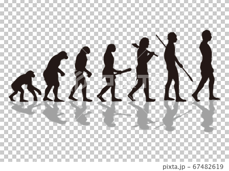 人類の進化のイラスト素材