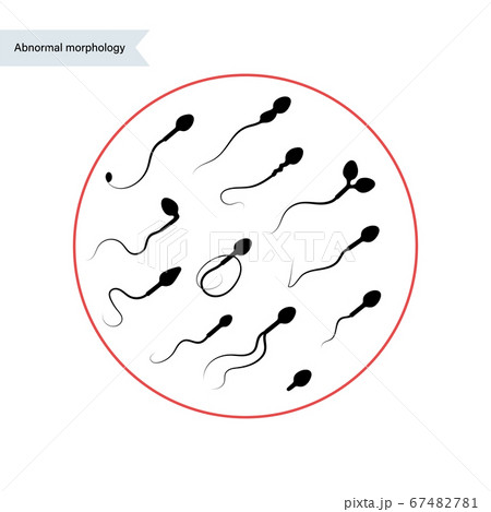 Reproductive system concept Reproductive system concept 67482781