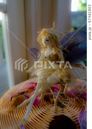 花の妖精 67482803