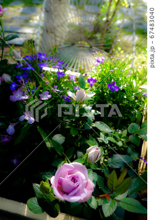 富良野アトリエ麓郷の風景 67483040