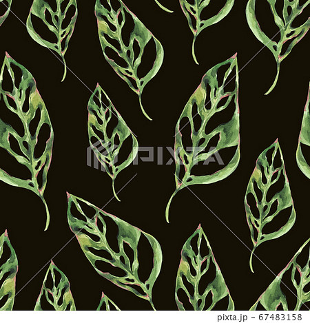 Watercolor tropical green leaves seamless pattern. Watercolor tropical green leaves seamless pattern. 67483158