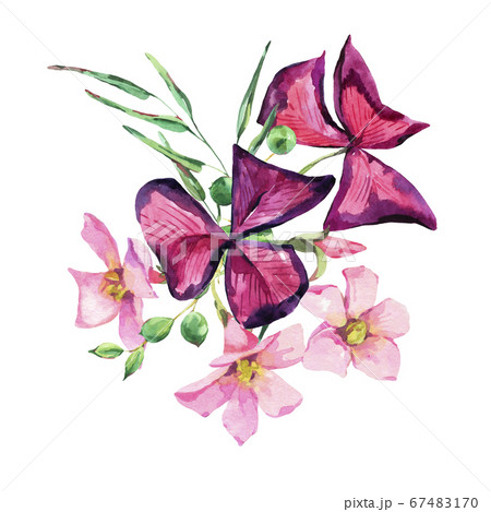 Watercolor summer flowers, violet floral greeting 67483170