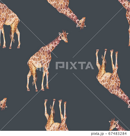 Giraffe watercolor seamless pattern on black 67483284