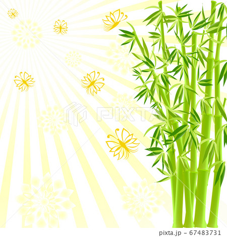 vector illustration of a bamboo with butterflies 67483731