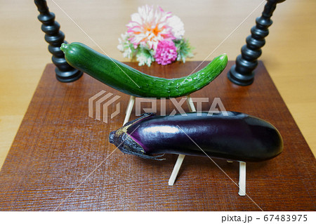 お盆のお供え 精霊馬 ナスの牛ときゅうりの馬の写真素材