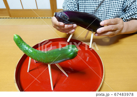 お盆のお供え 精霊馬 ナスの牛ときゅうりの馬を準備するおばあちゃんの写真素材
