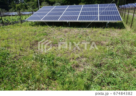 草刈り後の太陽光発電所 草刈り後の太陽光発電所 67484382