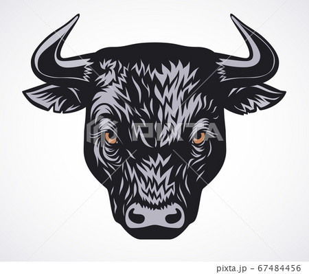 Angry bull head vector illustration on white background 67484456