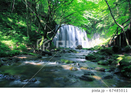 初夏の達沢不動滝（福島県・猪苗代町） 67485011