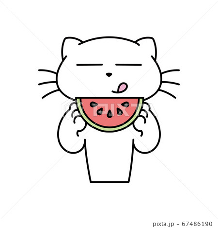 ねこ_スイカを食べる ねこ_スイカを食べる 67486190