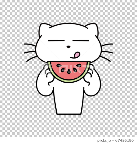 ねこ_スイカを食べる ねこ_スイカを食べる 67486190