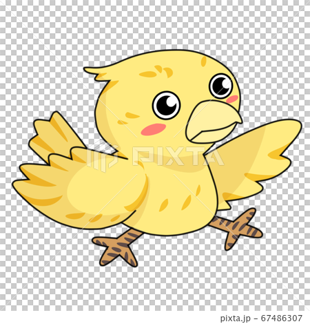 Bird character 67486307