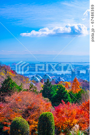 布引ハーブ園の紅葉と神戸の街並 布引ハーブ園の紅葉と神戸の街並 67486369