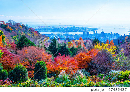 布引ハーブ園の紅葉と神戸の街並の写真素材