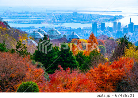 布引ハーブ園の紅葉と神戸の街並の写真素材