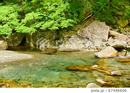 透明度抜群の柿其川の流れ 67486606