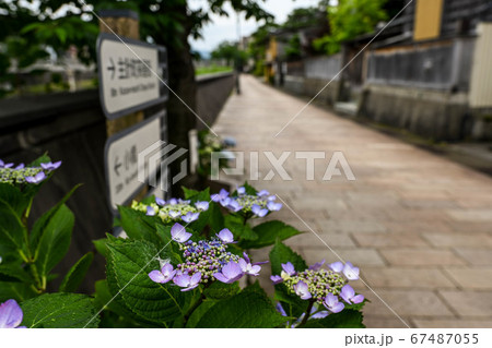 主計町茶屋街の初夏 主計町茶屋街の初夏 67487055