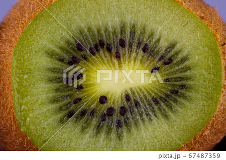 Kiwi fruit cutaway. Food macro shot. 67487359