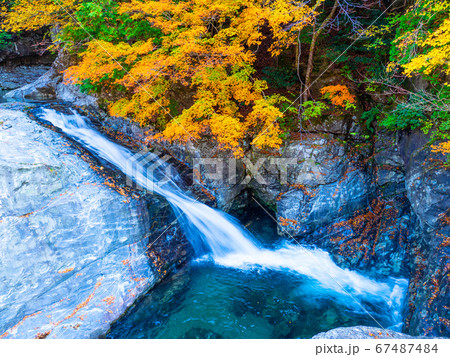 みたらい渓谷 みたらい渓谷 67487484