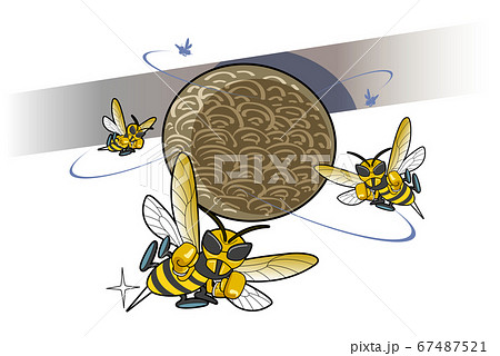 キイロスズメバチの巣 67487521