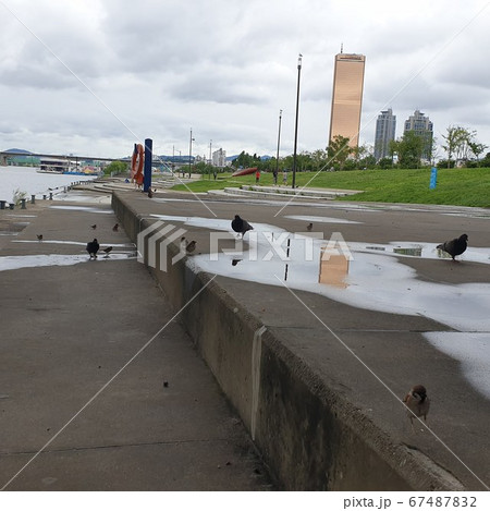 63ビル 漢江 非 67487832