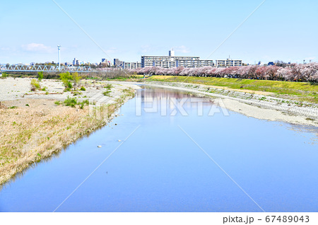 睦橋 多摩川より福生団地方面を望む 東京都福生市 4 の写真素材