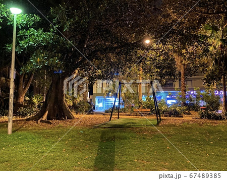 公園 夜景 67489385