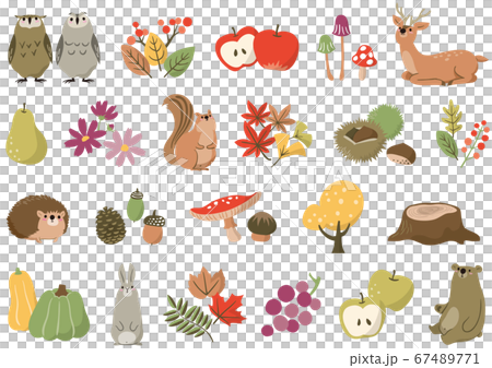秋のイラスト素材セット 秋のイラスト素材セット 67489771