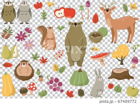 秋のイラスト素材セット 67489772