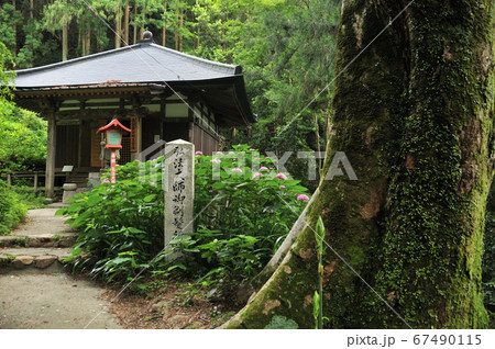 施福寺 愛染堂 施福寺 愛染堂 67490115