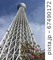 スカイツリー春 67490172