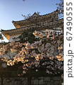 丸亀城（桜夕陽） 67490555