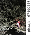 丸亀城桜まつり 67490556