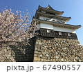丸亀城花見 67490557