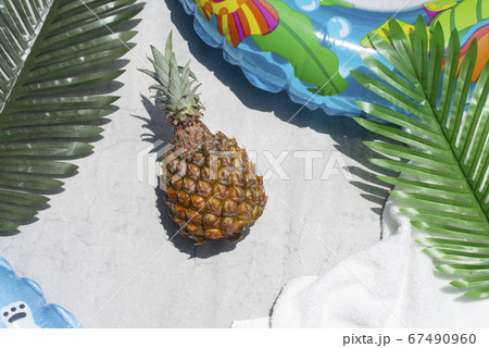 夏のパイナップル 夏のパイナップル 67490960