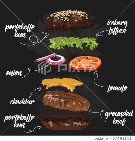 Hand Drawn Colorful Portobello mushroom Burger Flying Ingredients Hand Drawn Colorful Portobello mushroom Burger Flying Ingredients 67491111