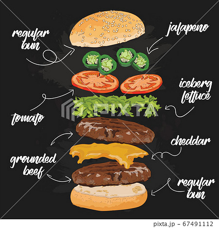 Hand Drawn Colorful jalapeno pepper Burger Flying Ingredients Hand Drawn Colorful jalapeno pepper Burger Flying Ingredients 67491112