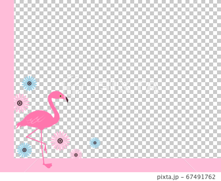 フラミンゴと花の背景　フレームイラスト素材 67491762