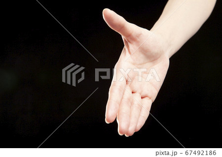 握手 67492186