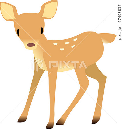 立っている可愛い小鹿のイラスト素材