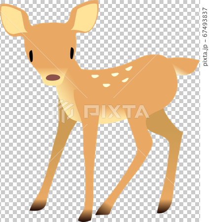 可愛的小鹿站 可愛的小鹿站 67493837