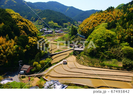 四国の棚田の風景と特急宇和海（2000系気動車） 67493842