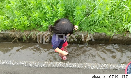 農業用の水路の中を女の子がはしゃいでいる姿 農業用の水路の中を女の子がはしゃいでいる姿 67494457