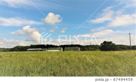 晴れた日の青空に白い雲がふわふわ。草原が続きます。 67494459