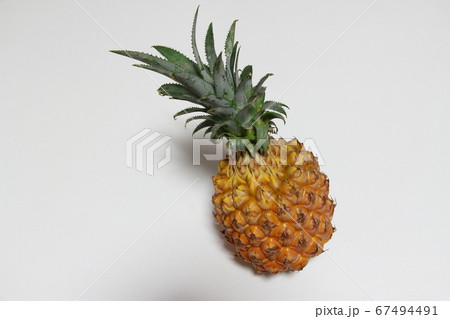 スナックパイン スナックパイン 67494491