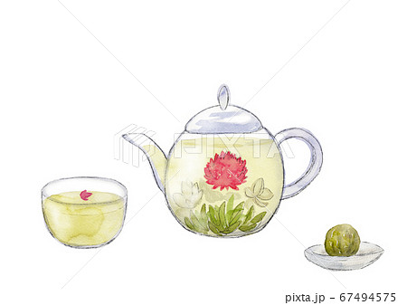 ガラスポットに入った花茶 水彩イラストのイラスト素材
