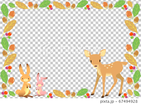 秋天的圖像動物和橡子框架 67494928