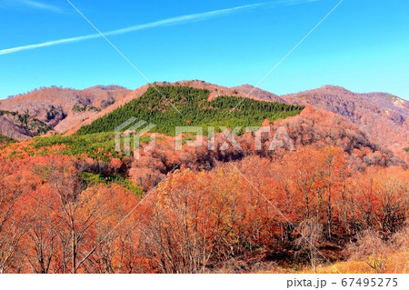 紅葉の不忘山山麓 67495275
