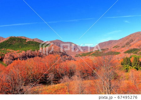 紅葉の不忘山山麓 紅葉の不忘山山麓 67495276